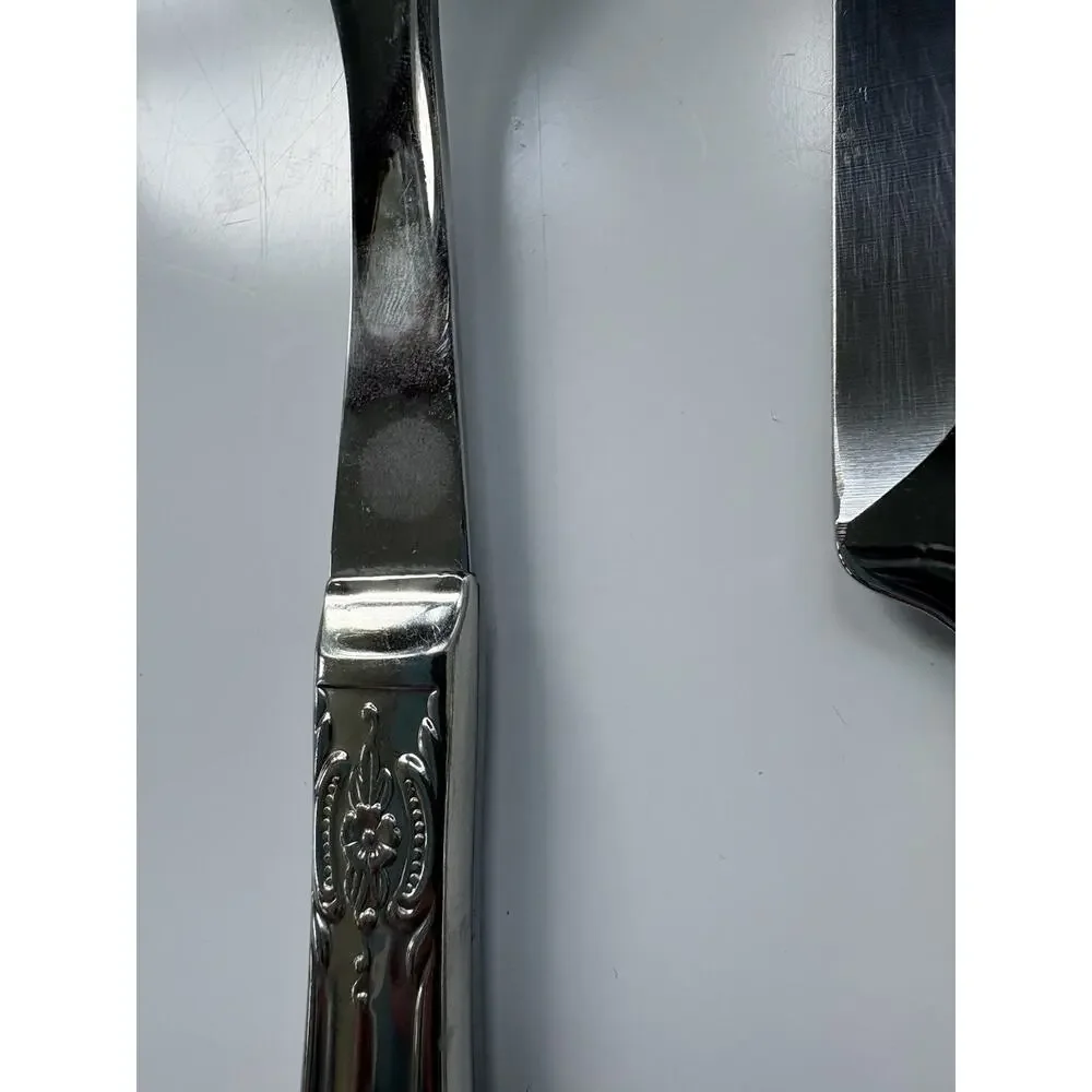 Princess House Gourmet Stainless Steel Carving Set Knife & Fork Braums Pattern